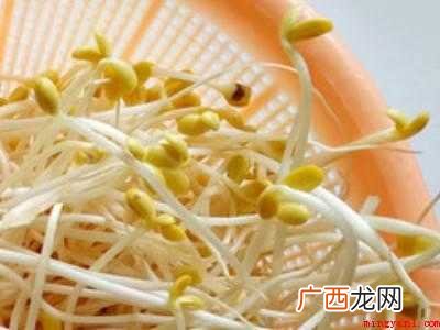 怎么吃黄豆芽