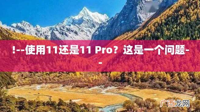 !--使用11还是11 Pro？这是一个问题--