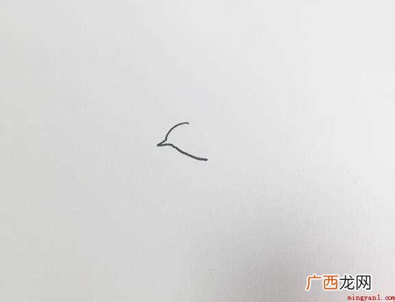 靖江身体上的斑纹轮廓与眼睛画出来 燕子怎么画