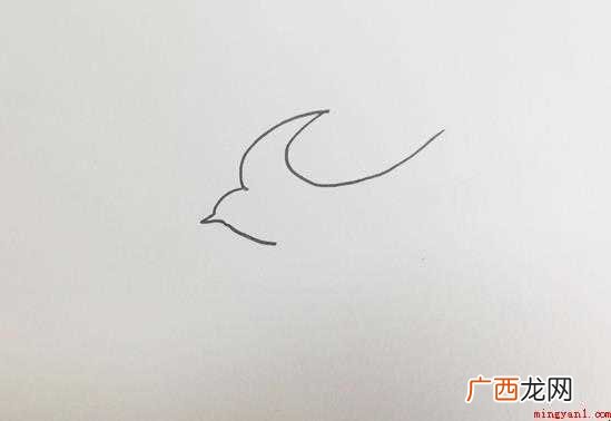 靖江身体上的斑纹轮廓与眼睛画出来 燕子怎么画