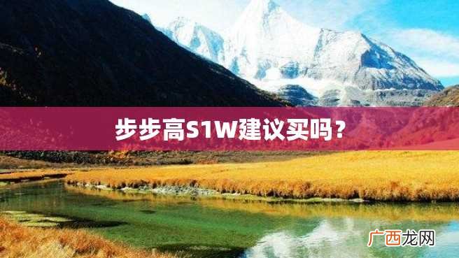 步步高S1W建议买吗？