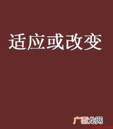 关于适应的近义词是什么 适应的近义词是什么