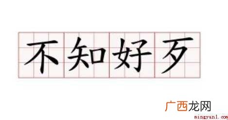 不知好歹是什么意思