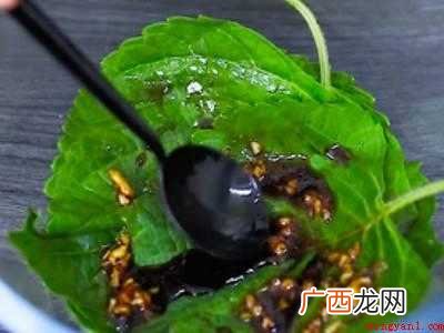 新鲜的紫苏叶怎么吃