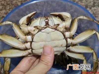 蒸螃蟹怎么吃