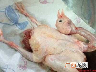 鸽子怎么吃