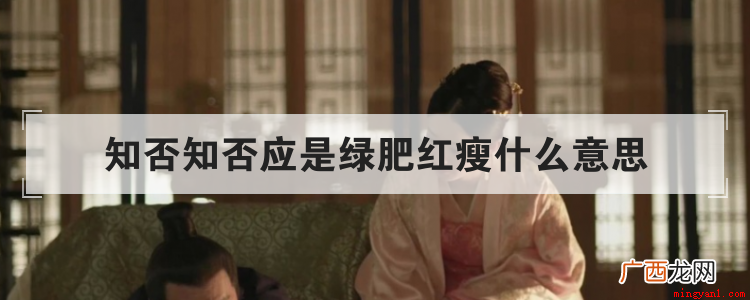 李清照的景物描写是什么意思 知否知否应是绿肥红瘦什么意思
