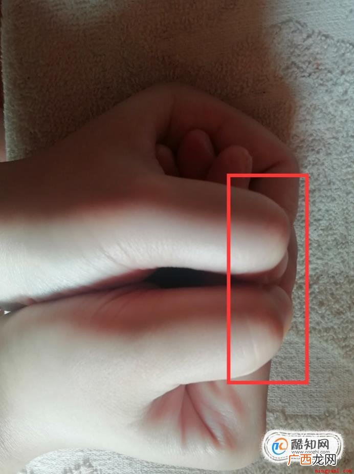生活中怎样用手吹口哨 怎么用手指吹口哨,简单却最响的手吹口哨法!