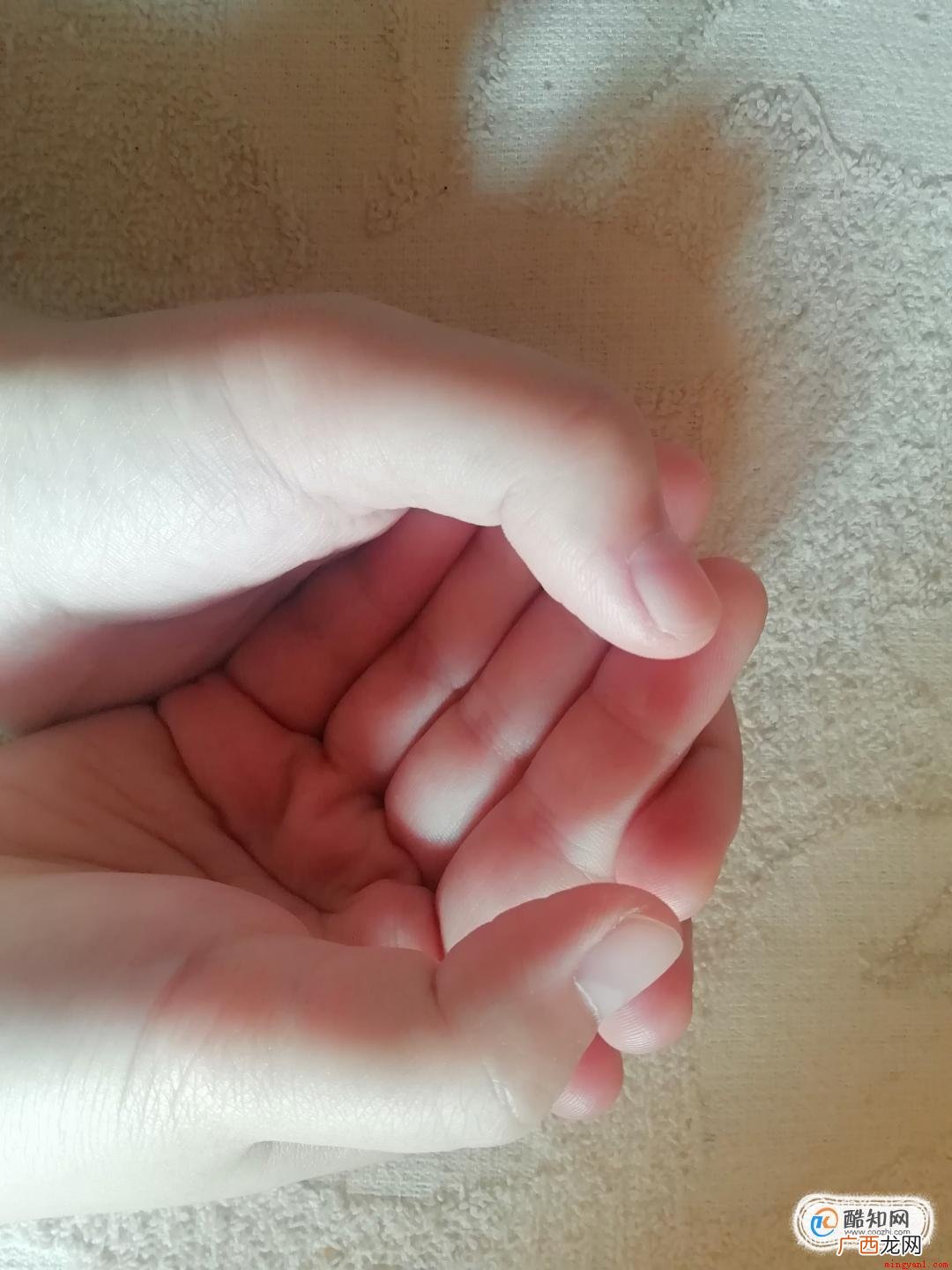 生活中怎样用手吹口哨 怎么用手指吹口哨,简单却最响的手吹口哨法!