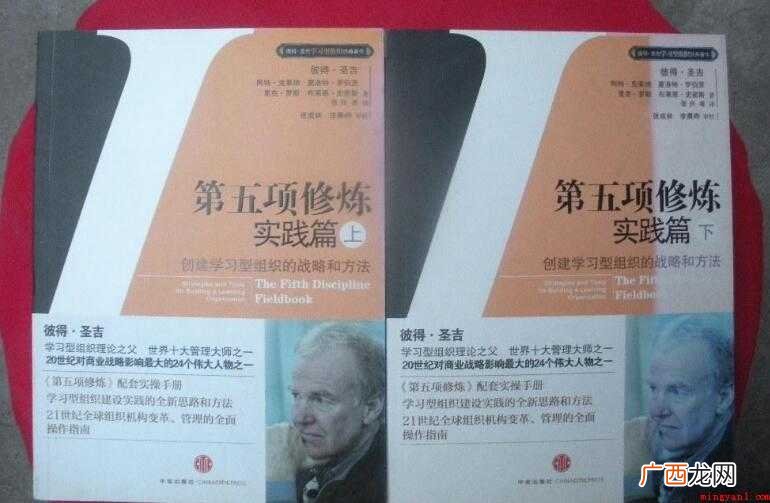 第五项修炼:学习型组织的艺术实践 《第五项修炼》读后感怎么写