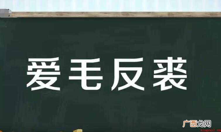 爱毛反裘,汉语成语,拼音是i máo fǎn qi,然而部分 爱毛反裘是什么意思