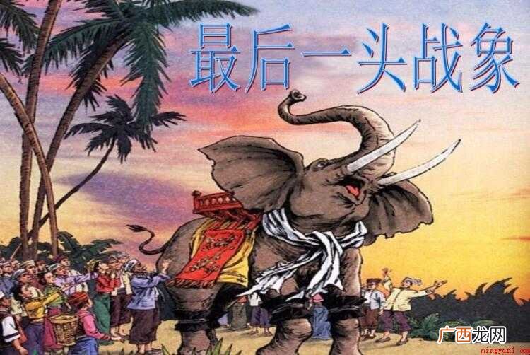 《最后一头战象》读后感范文 《最后一头战象》读后感怎么写