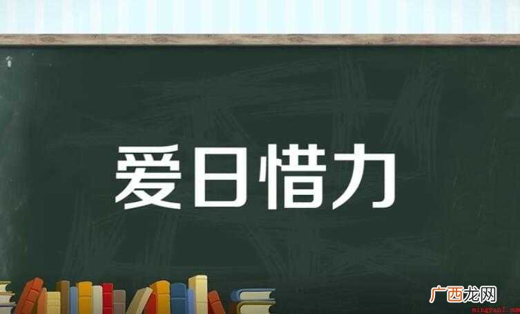 爱日惜力的意思是什么