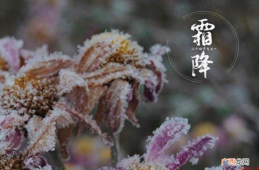 霜降历史渊源有哪些