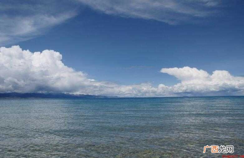 荡涤是什么意思