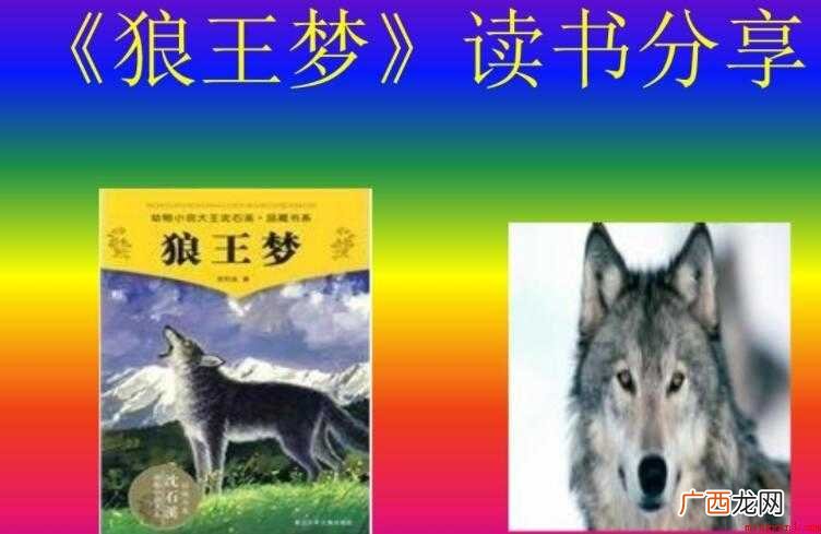 《狼王梦》的主要内容是什么