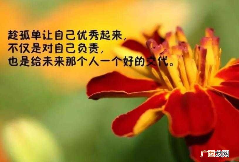 关于人生经典语录有哪些 人生经典语录有哪些