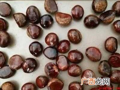 怎么做板栗好吃又简单