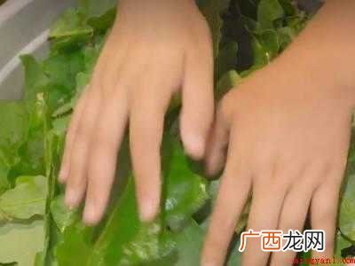胡叶包粽子怎么包