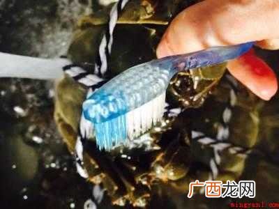 吃大闸蟹怎么吃
