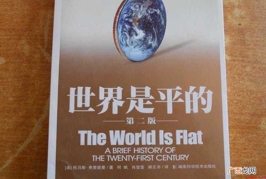《世界是平的》作品评价有哪些
