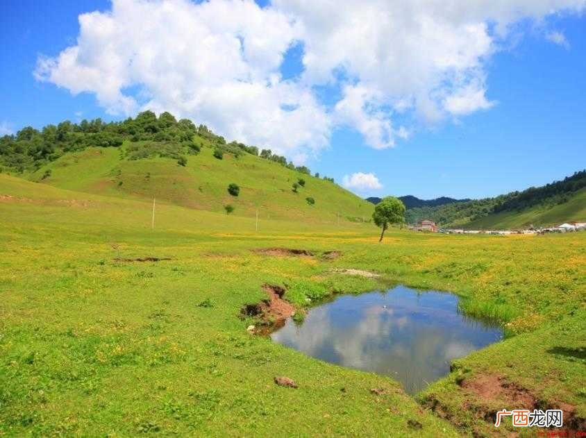 宝鸡市关山草原旅游度假区在哪里 关山草原在哪里