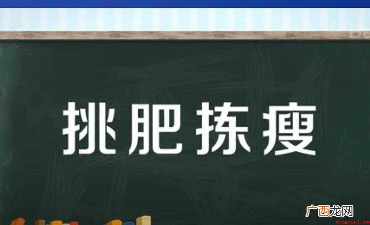 挑肥拣瘦是什么意思