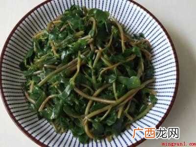 马齿苋怎么吃才好吃