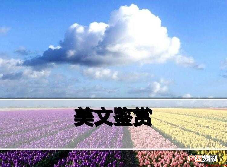 美文欣赏励志篇800字 美文欣赏励志篇怎么写
