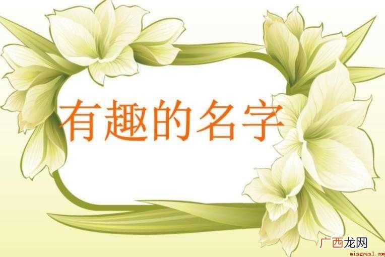 关于有意思的网名有哪些 有意思的网名有哪些