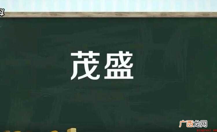 用茂盛怎么造句 形容旺盛的样子 用茂盛怎么造句