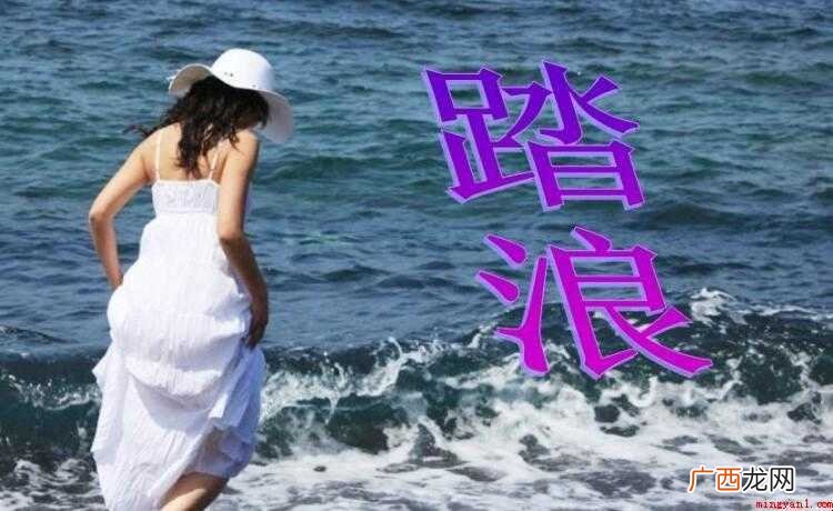 《踏浪》的歌词是什么