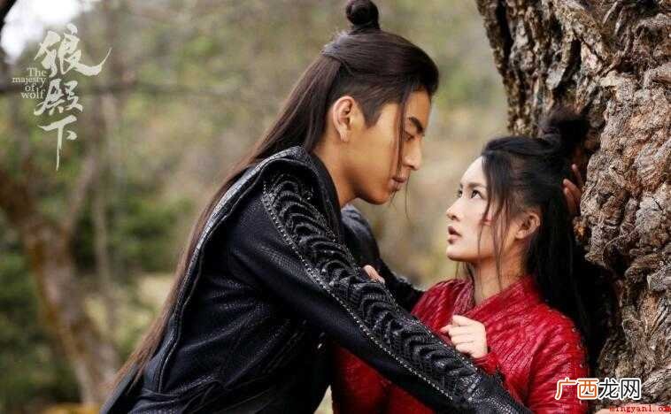《狼殿下》一共多少集
