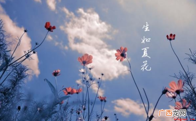 生如夏花的意思是指生命要像夏季的花朵那般绚烂夺目,努力去盛开