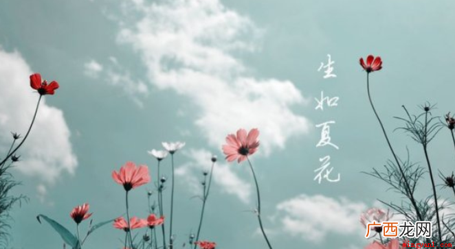 生如夏花的意思是指生命要像夏季的花朵那般绚烂夺目,努力去盛开