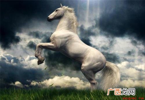 01 马作的卢飞快的卢是什么意思