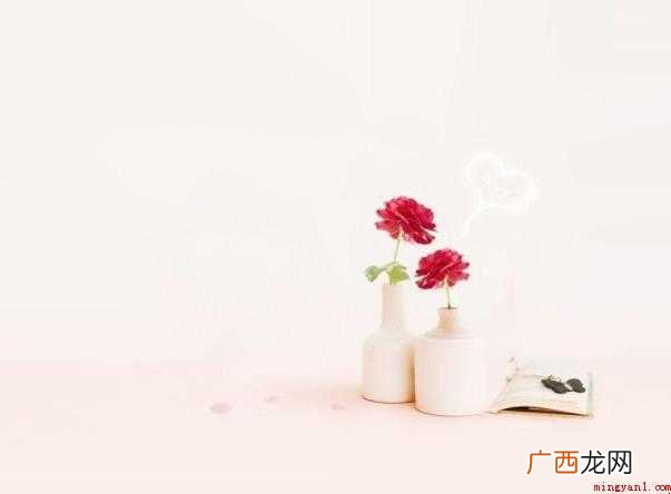 关于淡雅的近义词是什么 淡雅的近义词是什么