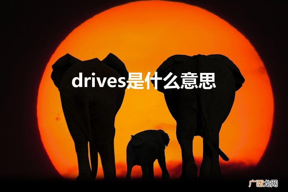 drives怎么读 drives是什么意思
