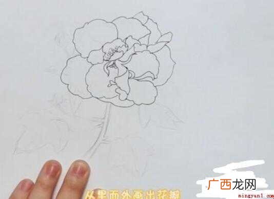 芙蓉花简笔画画法步骤教程 芙蓉花简笔画怎么画