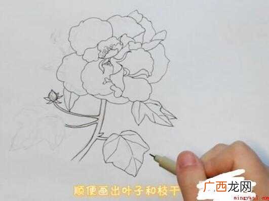 芙蓉花简笔画画法步骤教程 芙蓉花简笔画怎么画