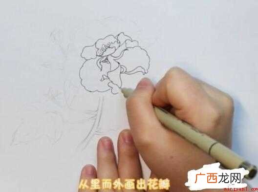 芙蓉花简笔画画法步骤教程 芙蓉花简笔画怎么画