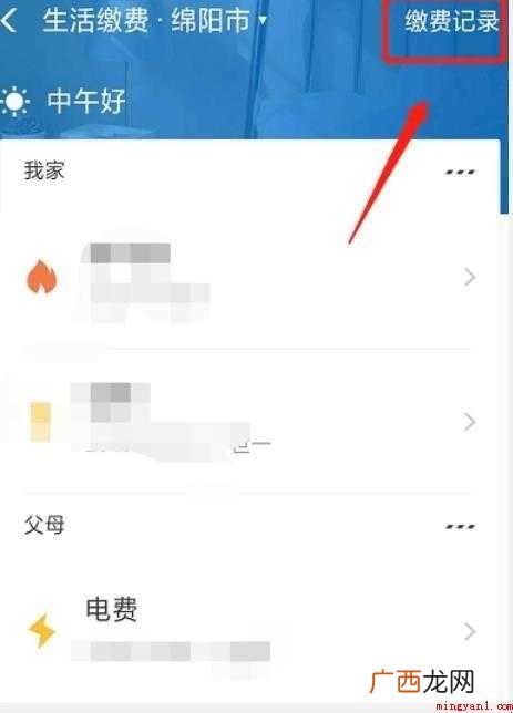 如何在网上缴纳电费