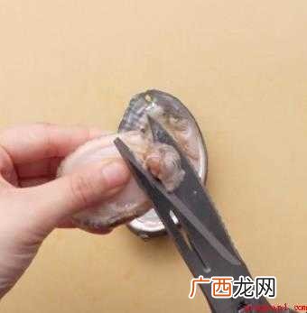 家常鲜鲍鱼怎么做 鲍鱼肉切十字花刀 家常鲜鲍鱼怎么做