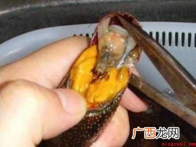 自己做小龙虾怎么清洗