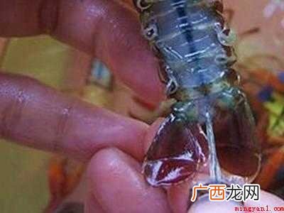 自己做小龙虾怎么清洗