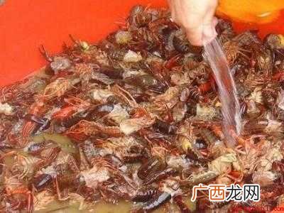 自己做小龙虾怎么清洗