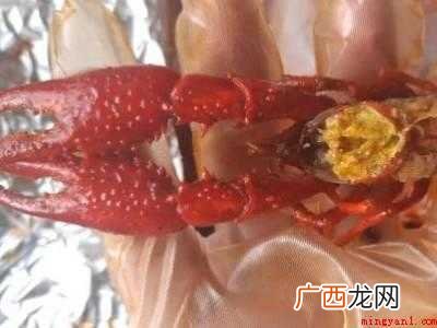 熟的小龙虾怎么吃