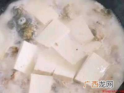 怎么吃鲤鱼