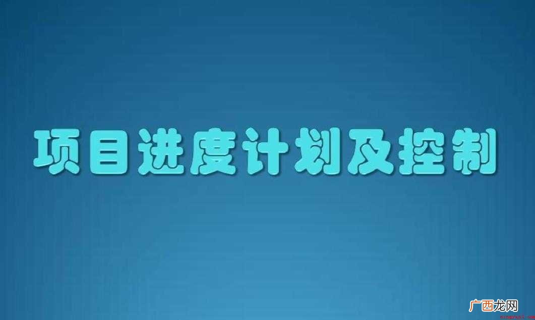 项目进度计划分类有哪些
