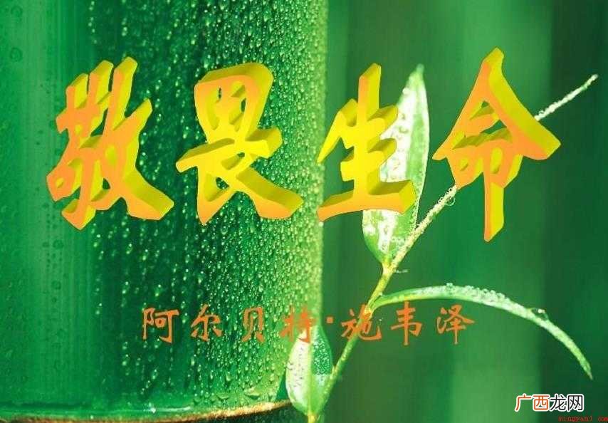 敬畏生命的句子有哪些